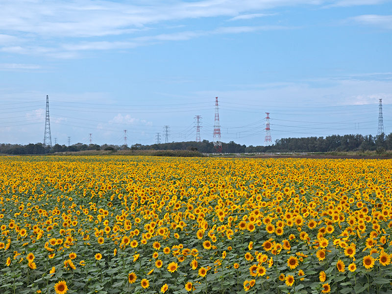 当別町