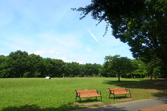 西東京いこいの森公園