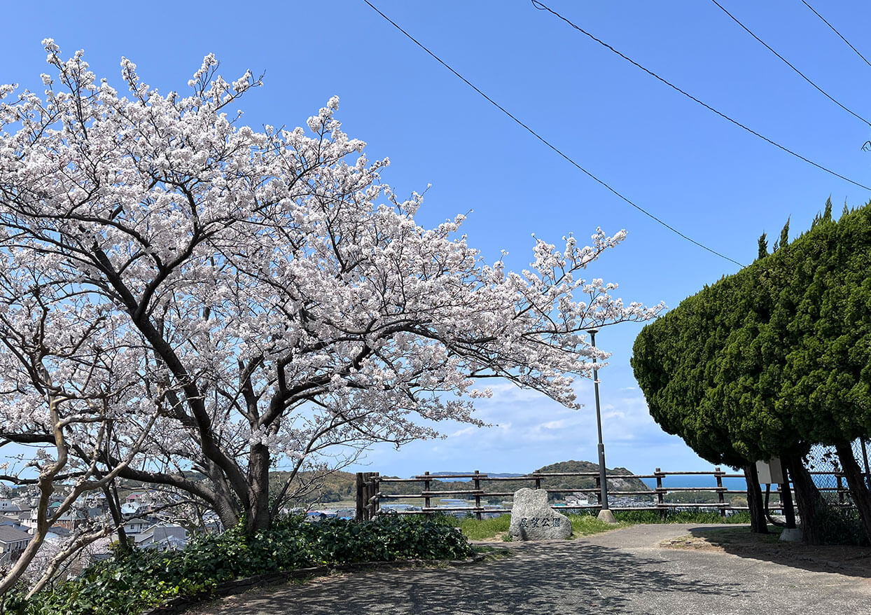 湊坂展望公園