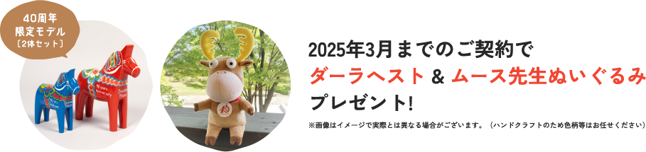 2025年3月までのご契約でダーラヘスト&ムース先生ぬいぐるみプレゼント!