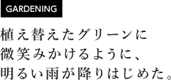 [GARDENING] 植え替えたグリーンに微笑みかけるように、明るい雨が降りはじめた。