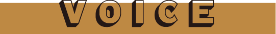 VOICE