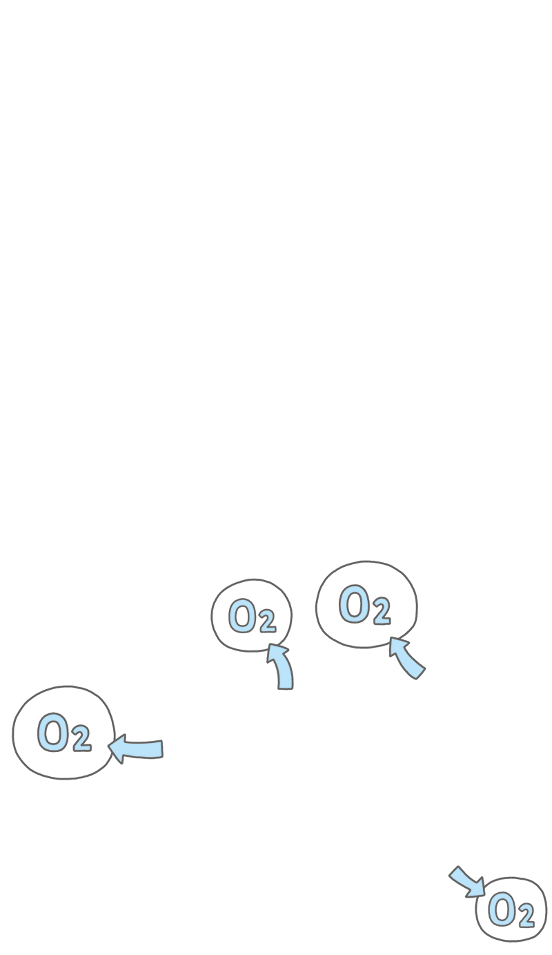 O2