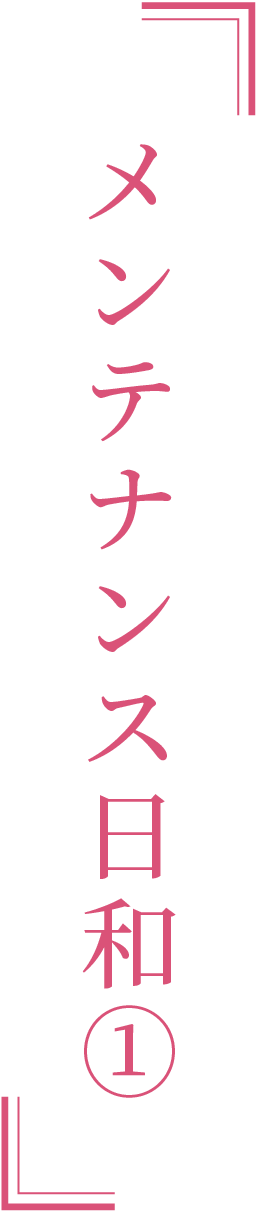 メンテナンス日和①
