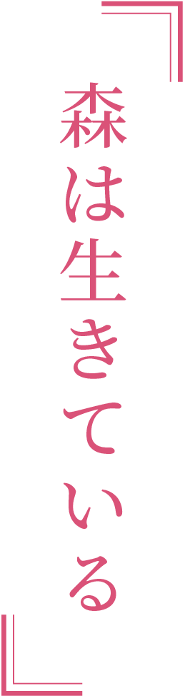 森は生きている