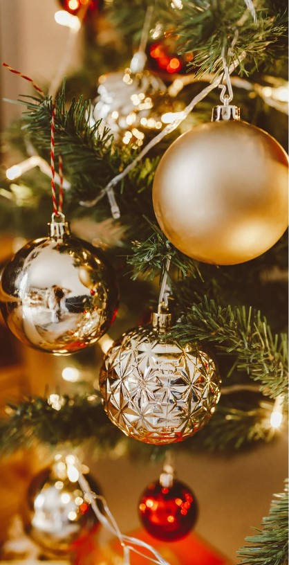 【12/17(日)13:00～14:30】快適なスウェーデンハウスで過ごすクリスマスパーティー！