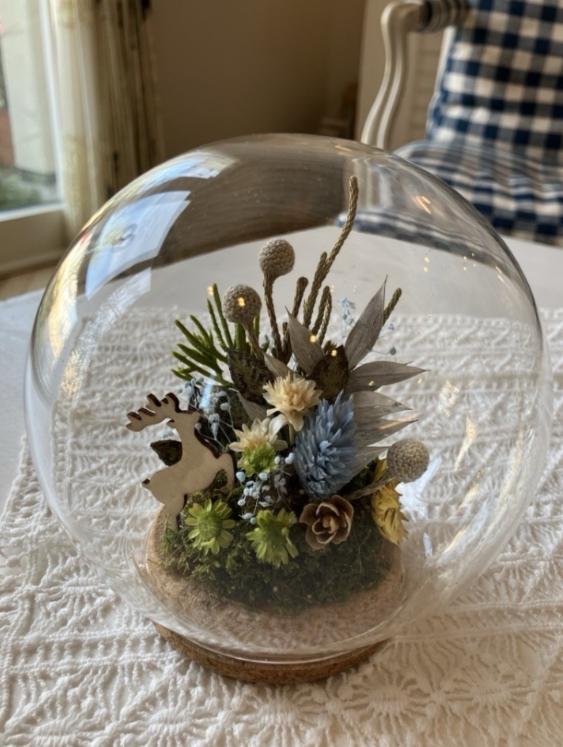 ワークショップ「苔テラリウムづくり」/たまプラーザ店